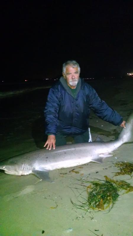 Verne with his first Seven Gill Shark from the surf.