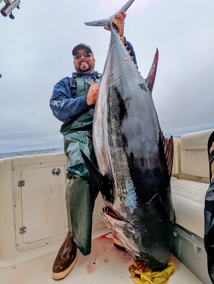 Pacific Bluefin Tuna on the Inside 